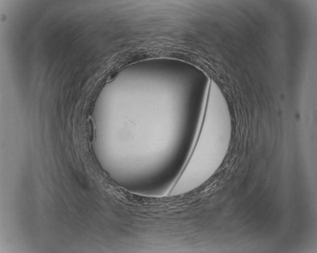 X0000080761057200612150928