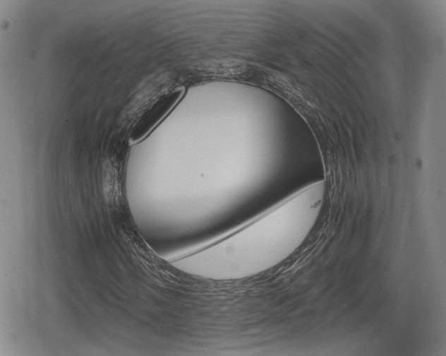 X0000080761058200612150928