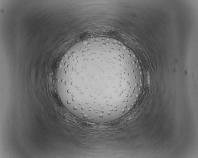 X0000080761059200612150928