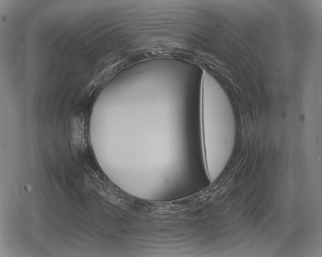X0000080761060200612150928