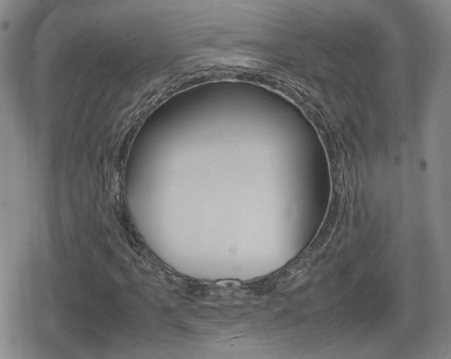 X0000080761061200612150928