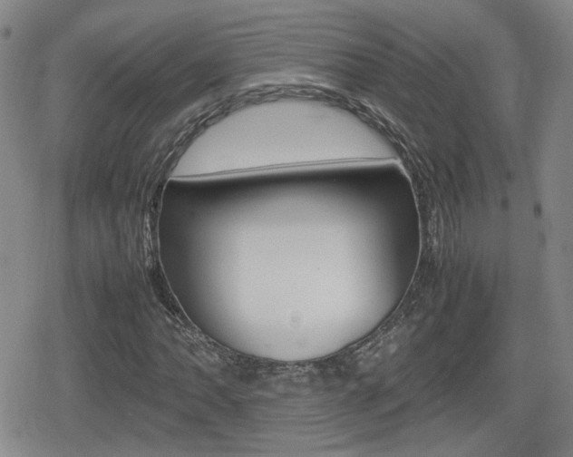 X0000080761062200612150928