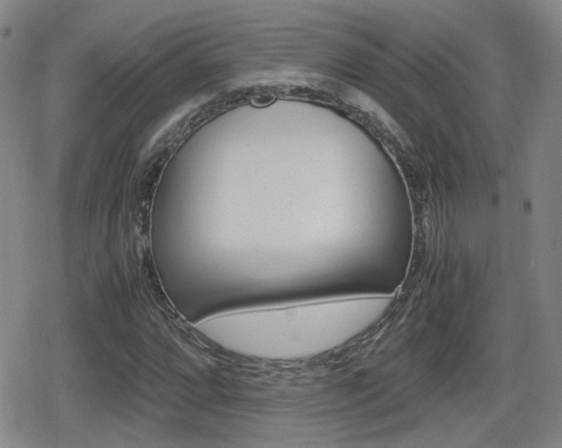 X0000080761064200612150928