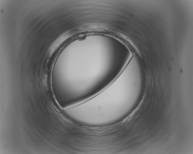 X0000080761066200612150928