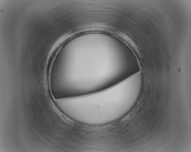 X0000080761072200612150928