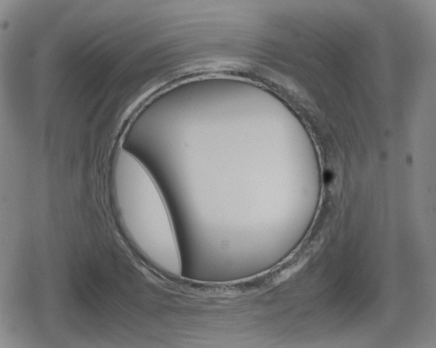 X0000080761073200612150928