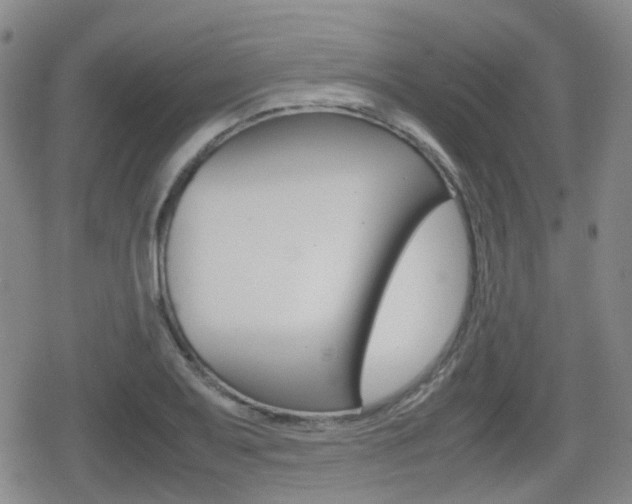 X0000080761079200612150928