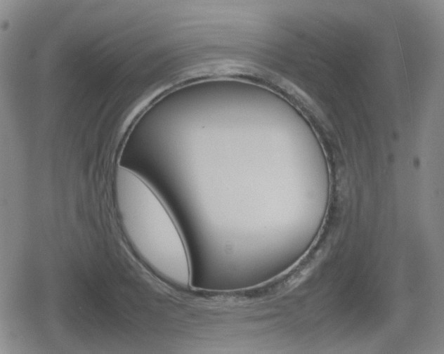X0000080761081200612150928