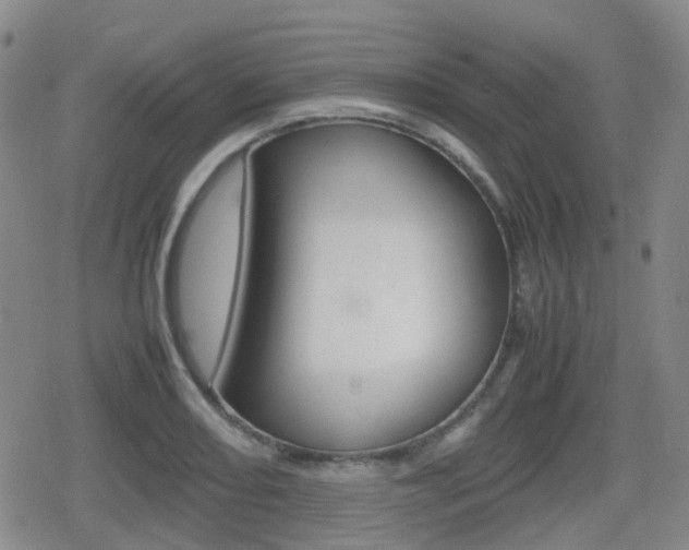 X0000080761082200612150928