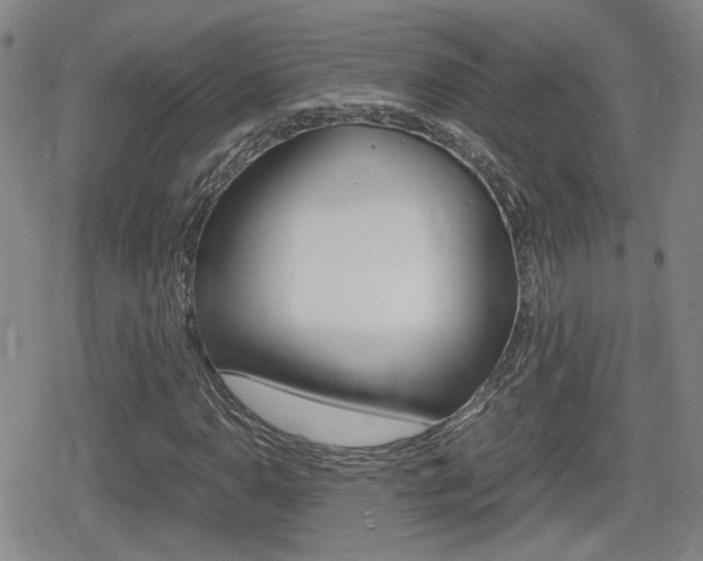 X0000080761110200612150927