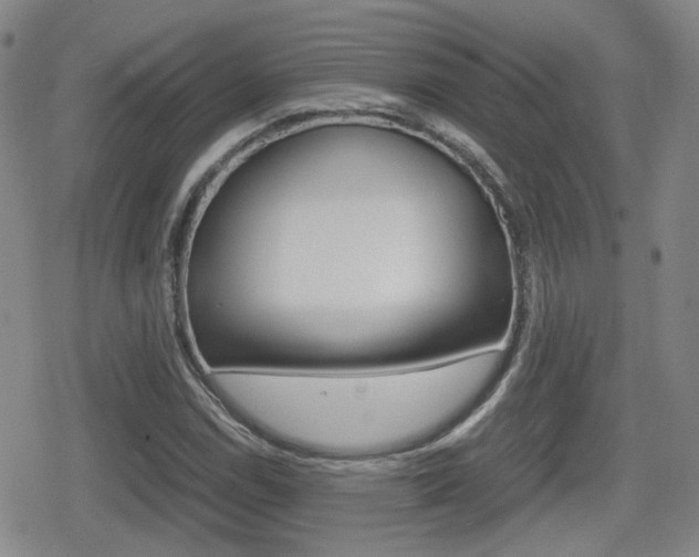 X0000080761114200612150927