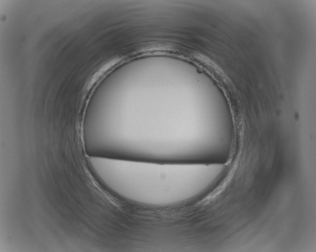 X0000080761121200612150927