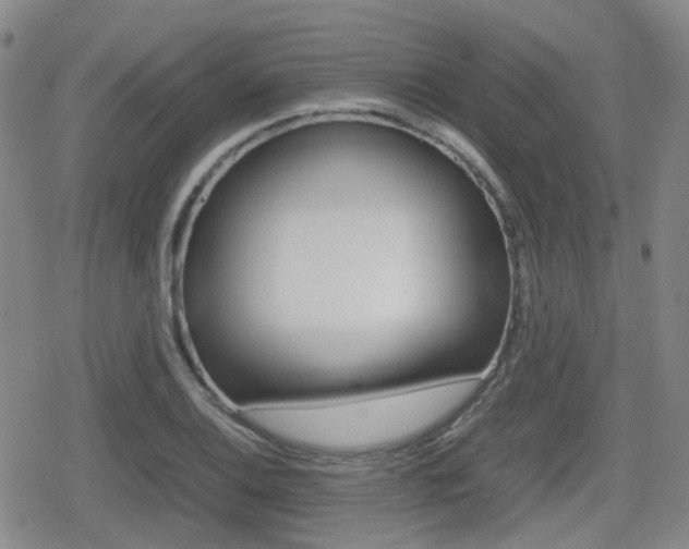 X0000080761124200612150927