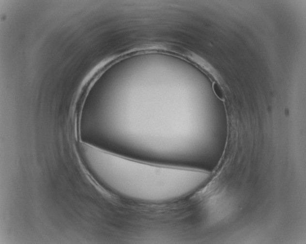 X0000080761127200612150927