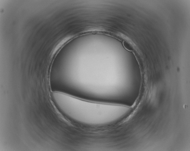 X0000080761129200612150927