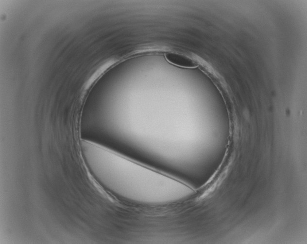 X0000080761137200612150927