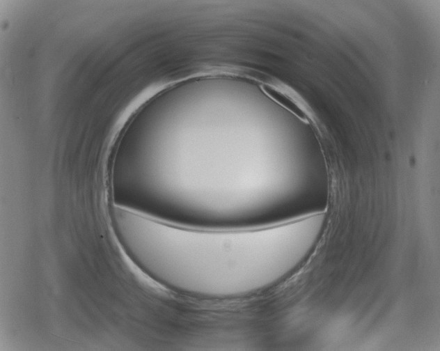 X0000080761143200612150927