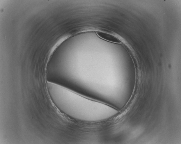X0000080761145200612150927