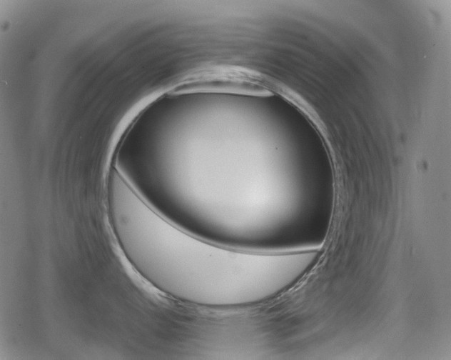 X0000080761152200612150927