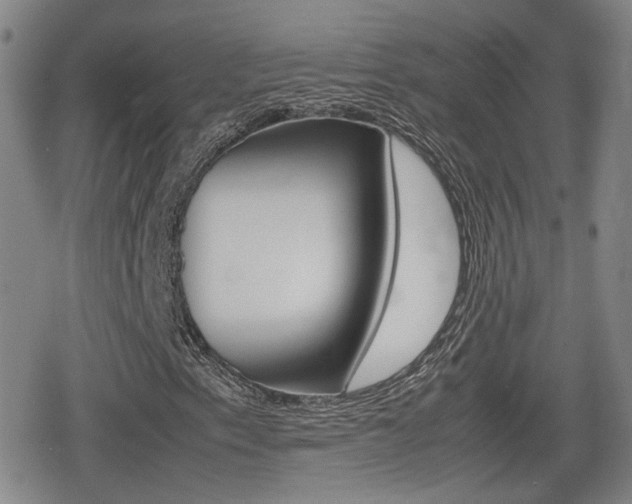 X0000080761153200612150927