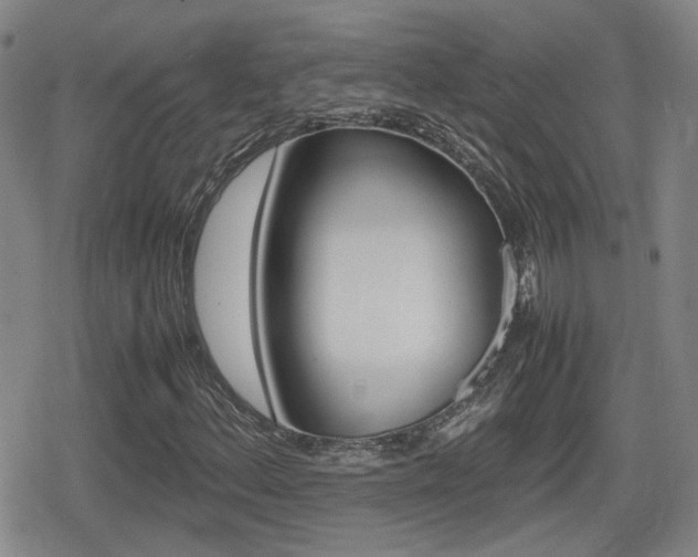 X0000080761156200612150927