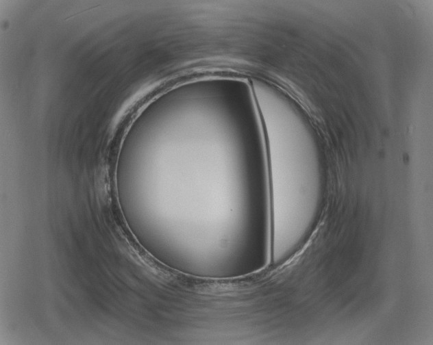 X0000080761164200612150926