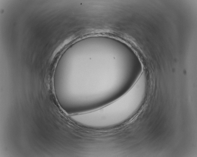 X0000080761165200612150926