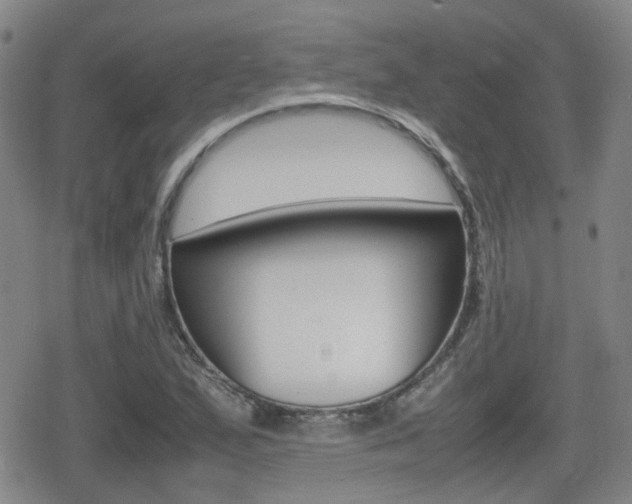 X0000080761167200612150926