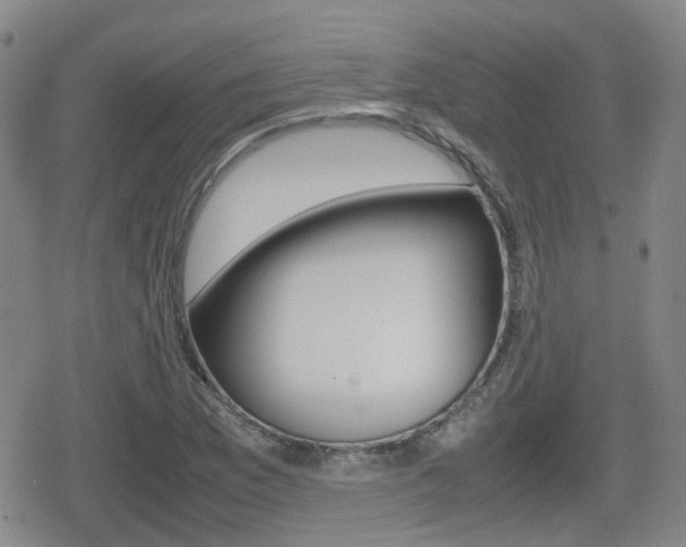 X0000080761169200612150926