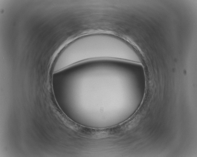 X0000080761173200612150926
