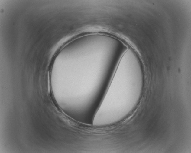 X0000080761175200612150926