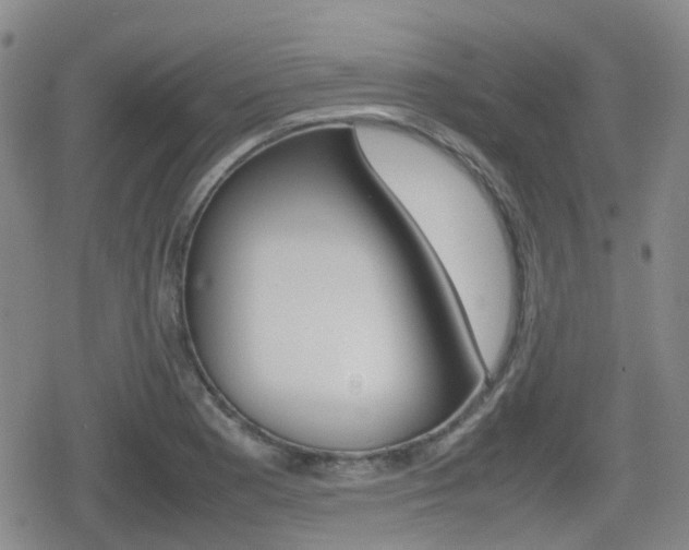 X0000080761177200612150926