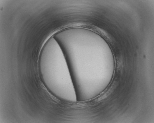 X0000080761178200612150926
