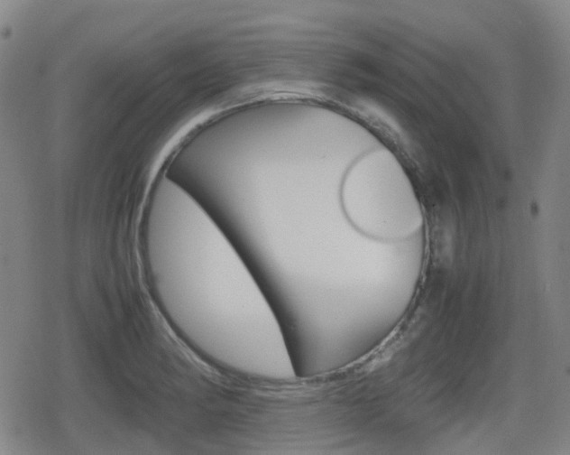 X0000080761182200612150926