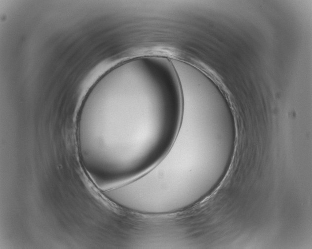 X0000080761200200612150926