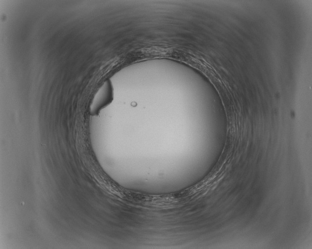 X0000080761201200612150925