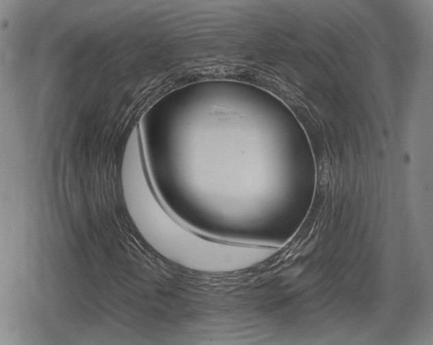 X0000080761202200612150925