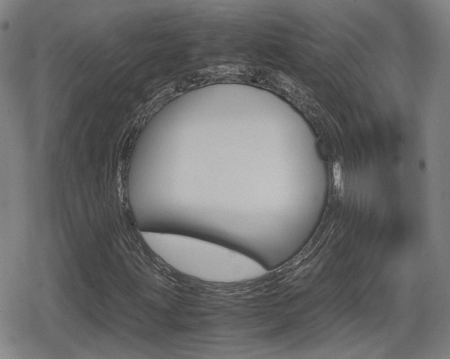 X0000080761203200612150925