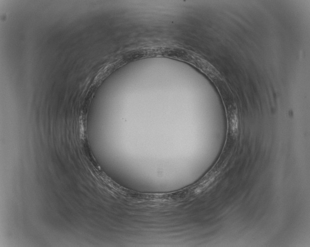 X0000080761204200612150925