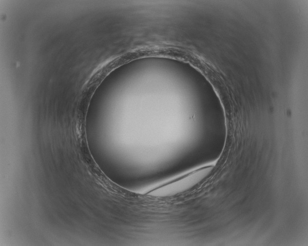 X0000080761206200612150925