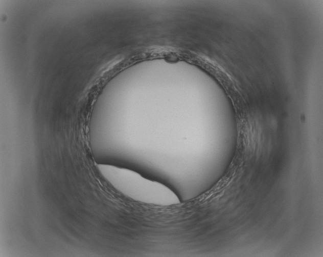 X0000080761207200612150925