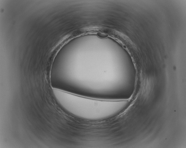 X0000080761209200612150925