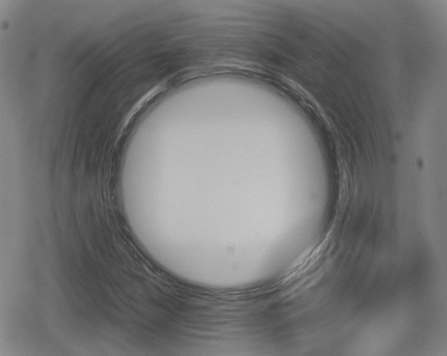 X0000080761210200612150925