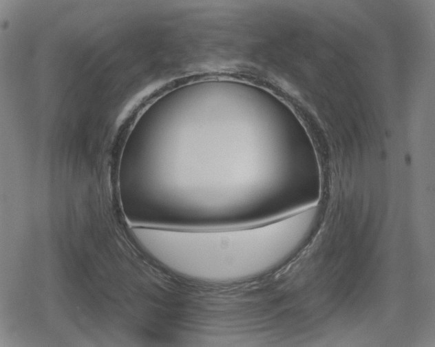 X0000080761214200612150925