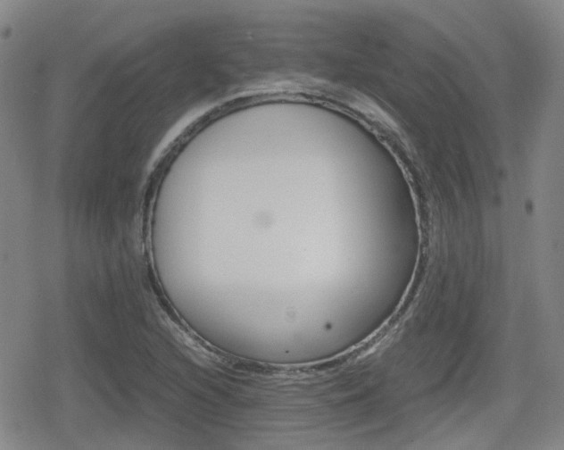 X0000080761216200612150925