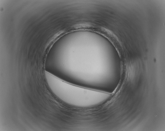 X0000080761217200612150925