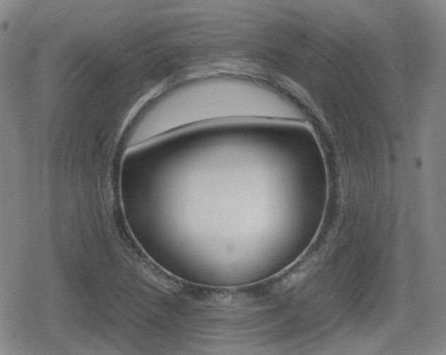 X0000080761218200612150925