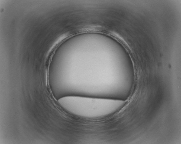 X0000080761219200612150925