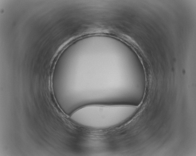 X0000080761220200612150925