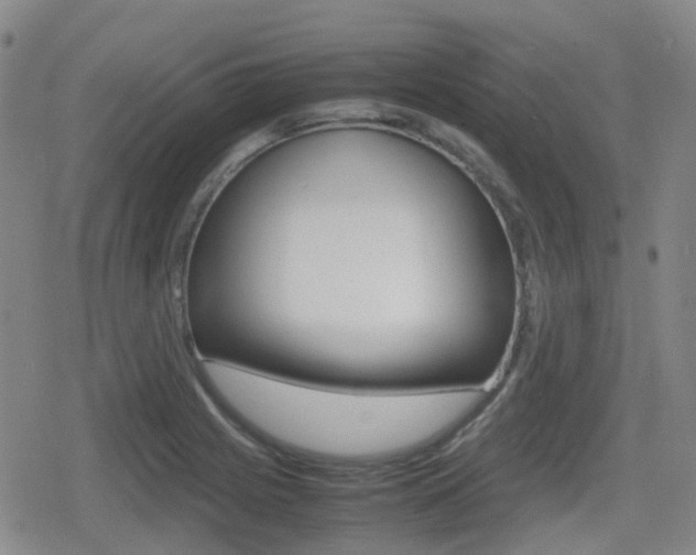 X0000080761225200612150925